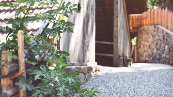 Terrein van de accommodatie