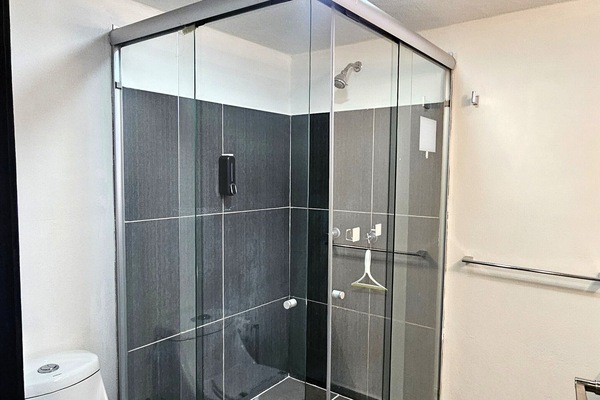 Shower, hair dryer, towels