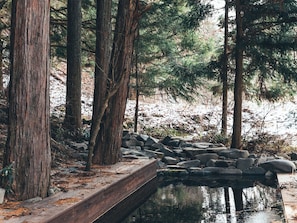 Enceinte de l’hébergement
