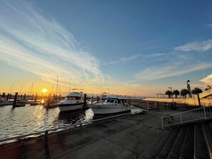 Marina
