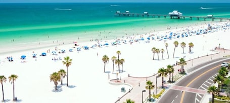 A beach with a pier, palm trees, and a road curving around the beach.