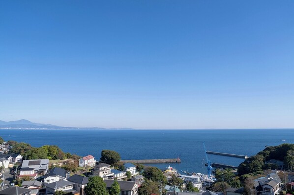 Beach/ocean view