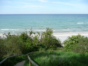 Une plage avec un escalier en bois qui descend vers le rivage, entourée de verdure.