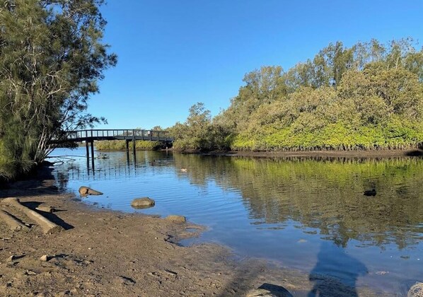 Un argine fluviale con un ponte di legno, acqua limpida e alberi circostanti.