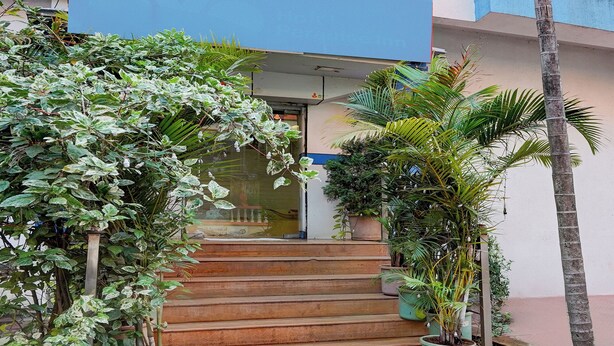 A building entrance with steps leading up to a door, surrounded by potted plants and a palm tree. - Via Paradise Stay Inn (Mawal)