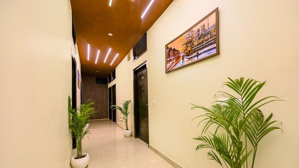 Um corredor com piso de mármore, plantas em vasos, um quadro na parede e portas que dão para quartos.