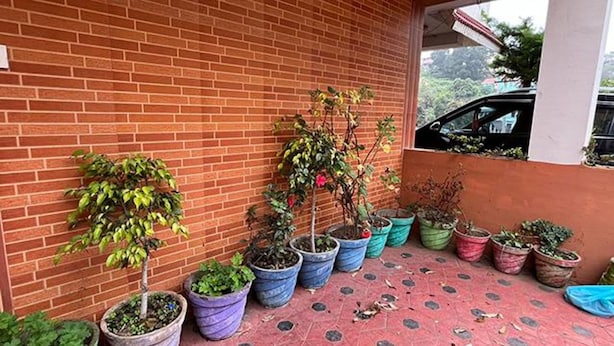A brick wall with potted plants arranged along it.