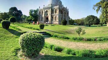 Garden view