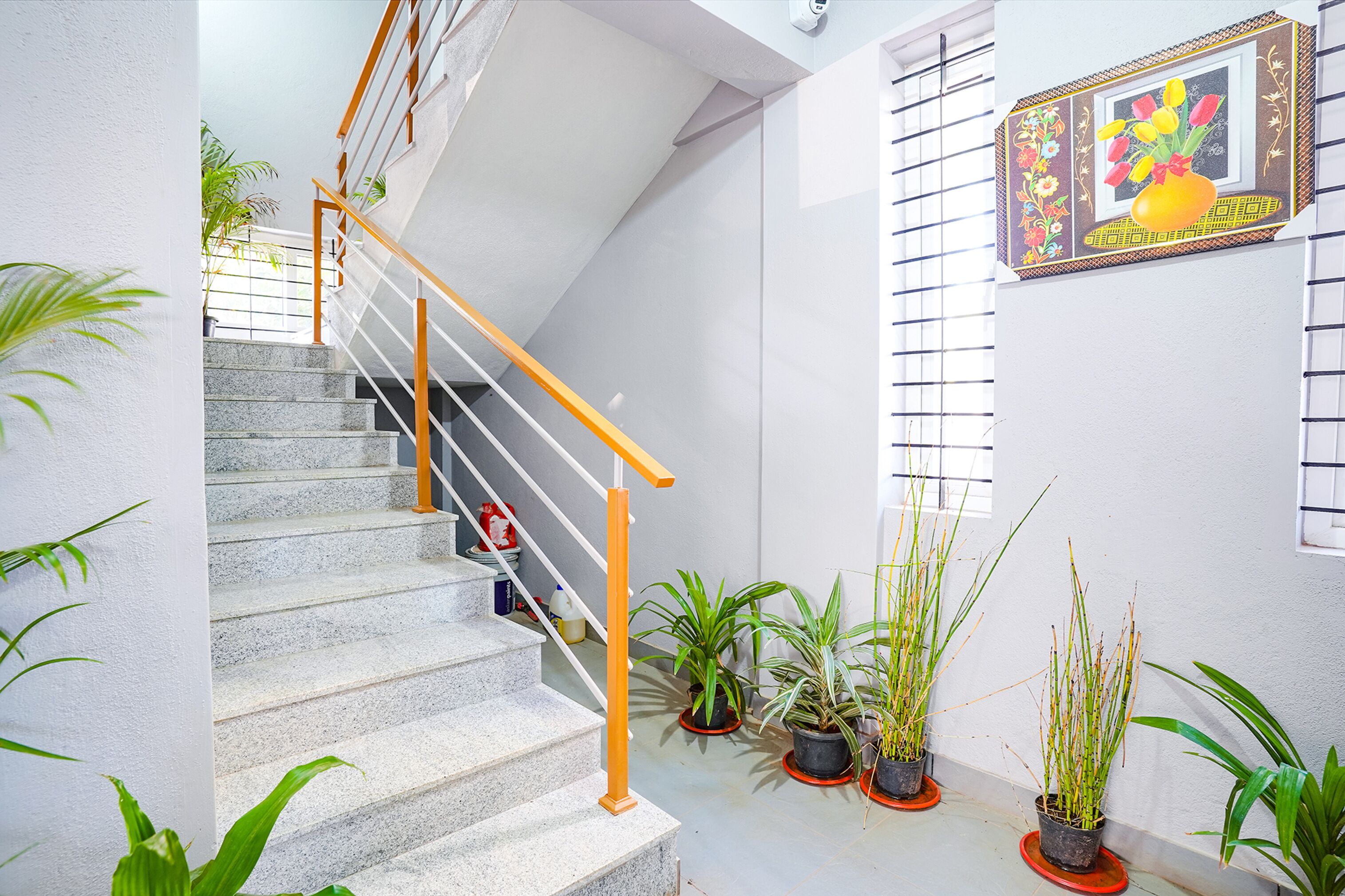 A staircase with a wooden handrail and potted plants at the bottom.