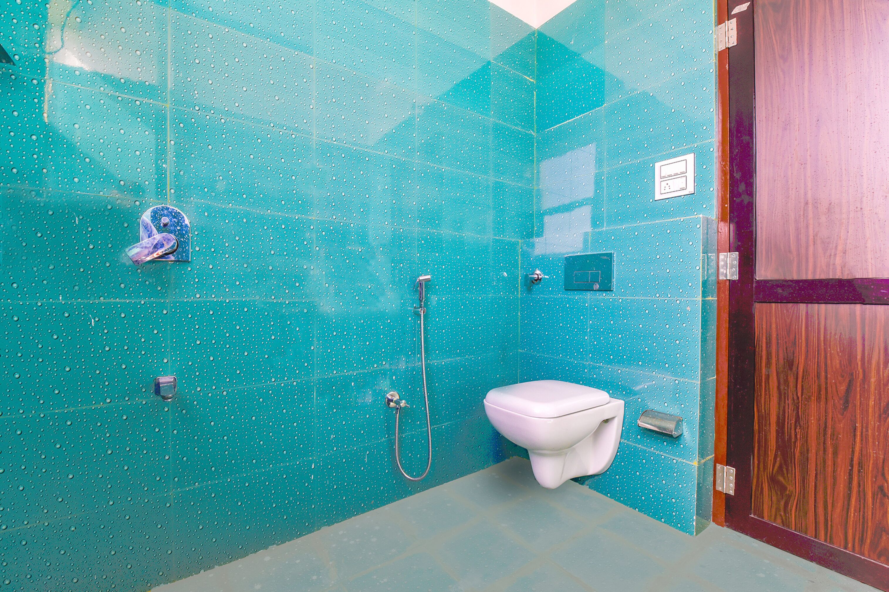 A bathroom with a shower, toilet, and a wooden door.