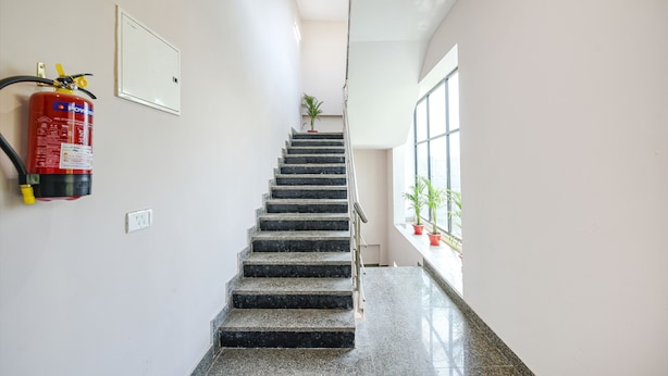 Un escalier avec un extincteur fixé au mur, une plante en pot au sommet et une fenêtre sur le côté droit.