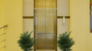 Un ascensor con puertas de vidrio y una barandilla de metal, flanqueado por dos plantas en macetas.