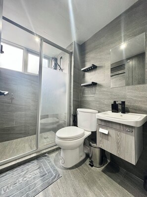 Shower, hair dryer, bidet, towels