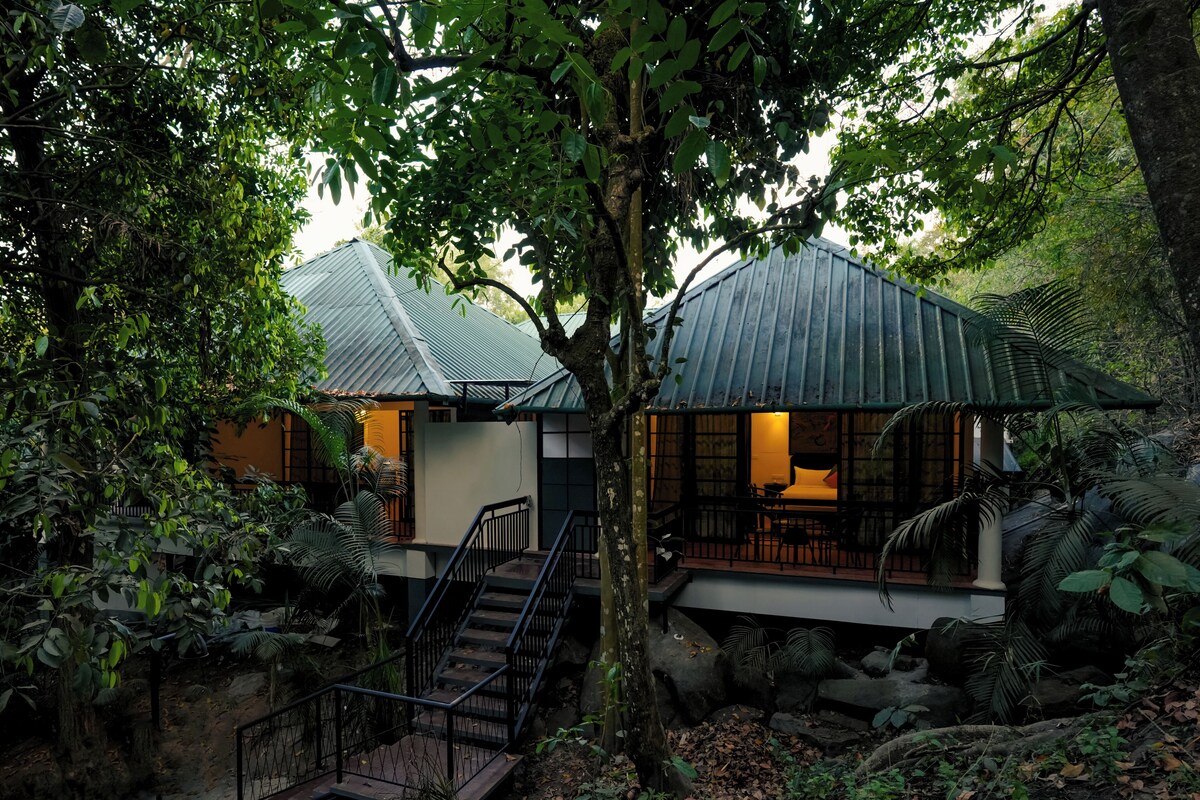 A treehouse-style building with a staircase leading to a balcony, surrounded by dense foliage.