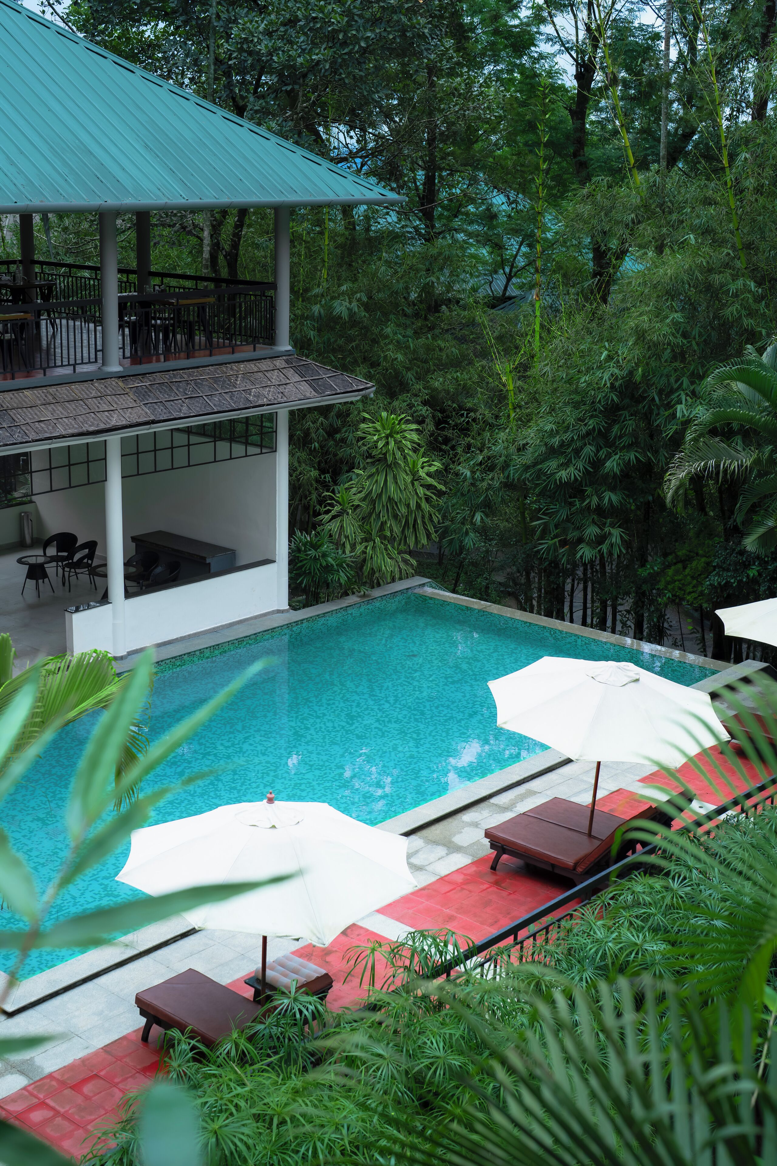 A pool area with lounge chairs and umbrellas, surrounded by lush greenery.