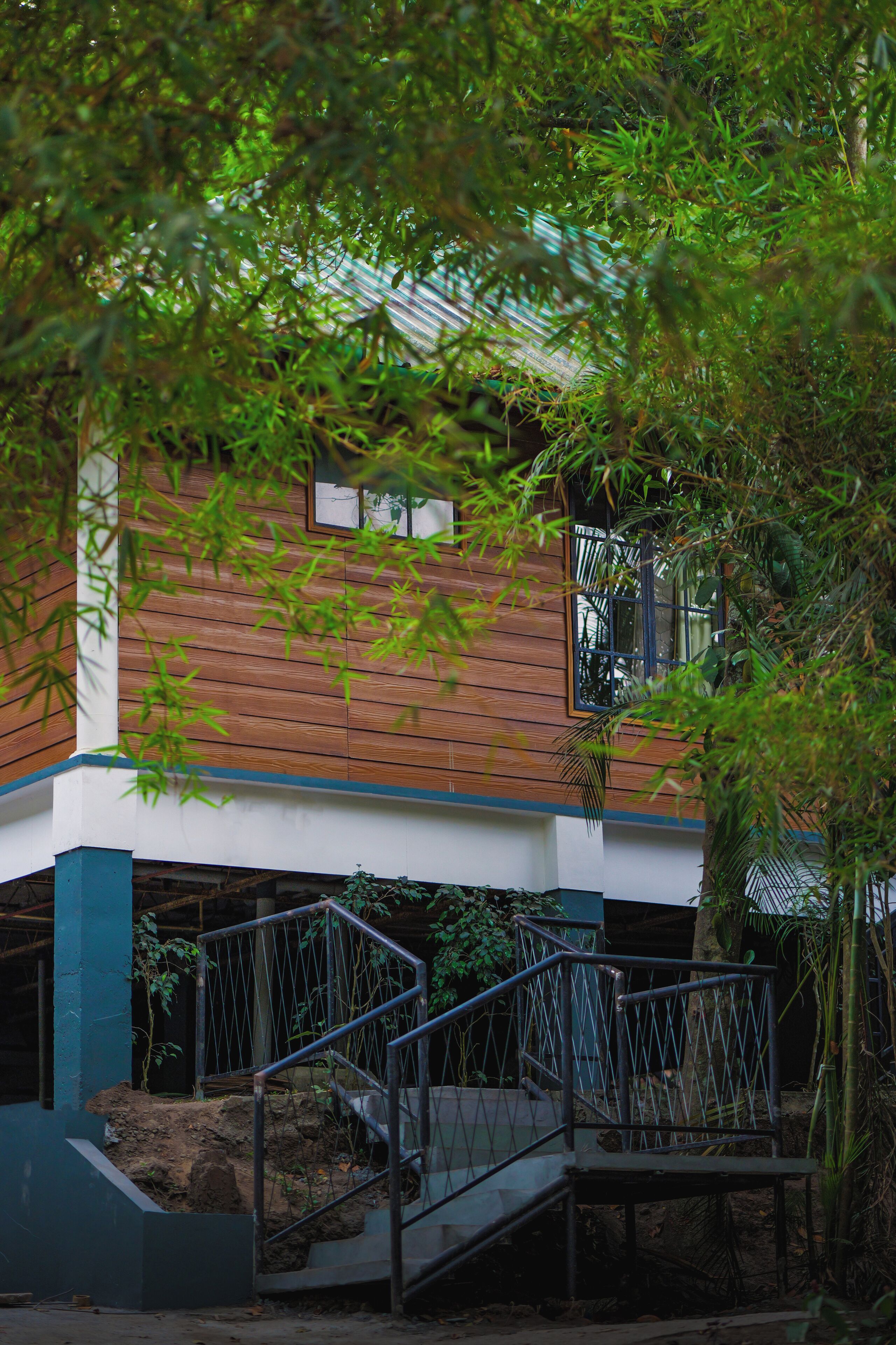 A modern building with a wooden facade, a staircase with metal railings, and a view of the surrounding greenery.