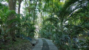 Exterior - The Hive Wayanad By Kondody Hotels (Vythiri)