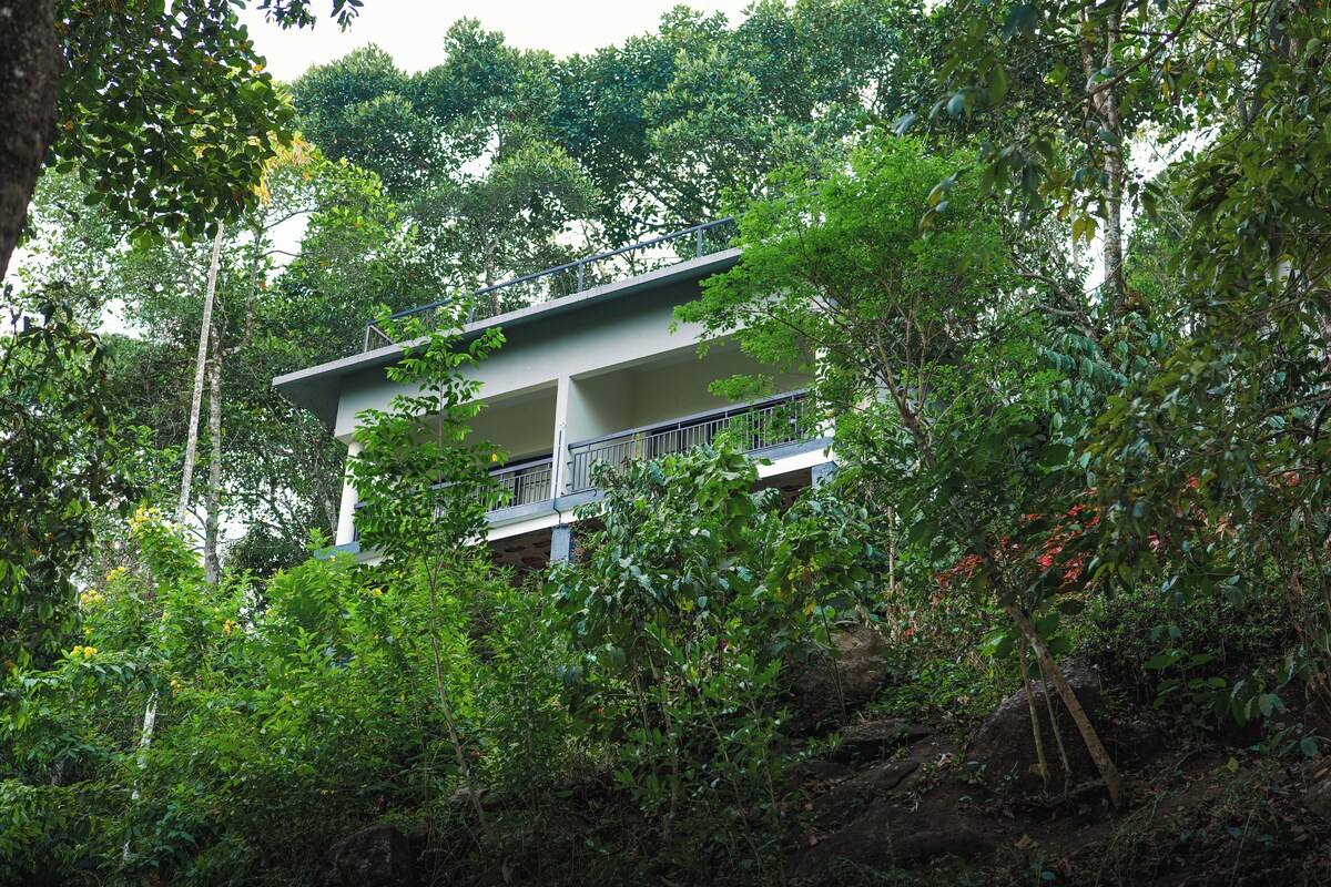 A multi-story building surrounded by dense greenery.