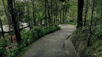 Ngoại thất