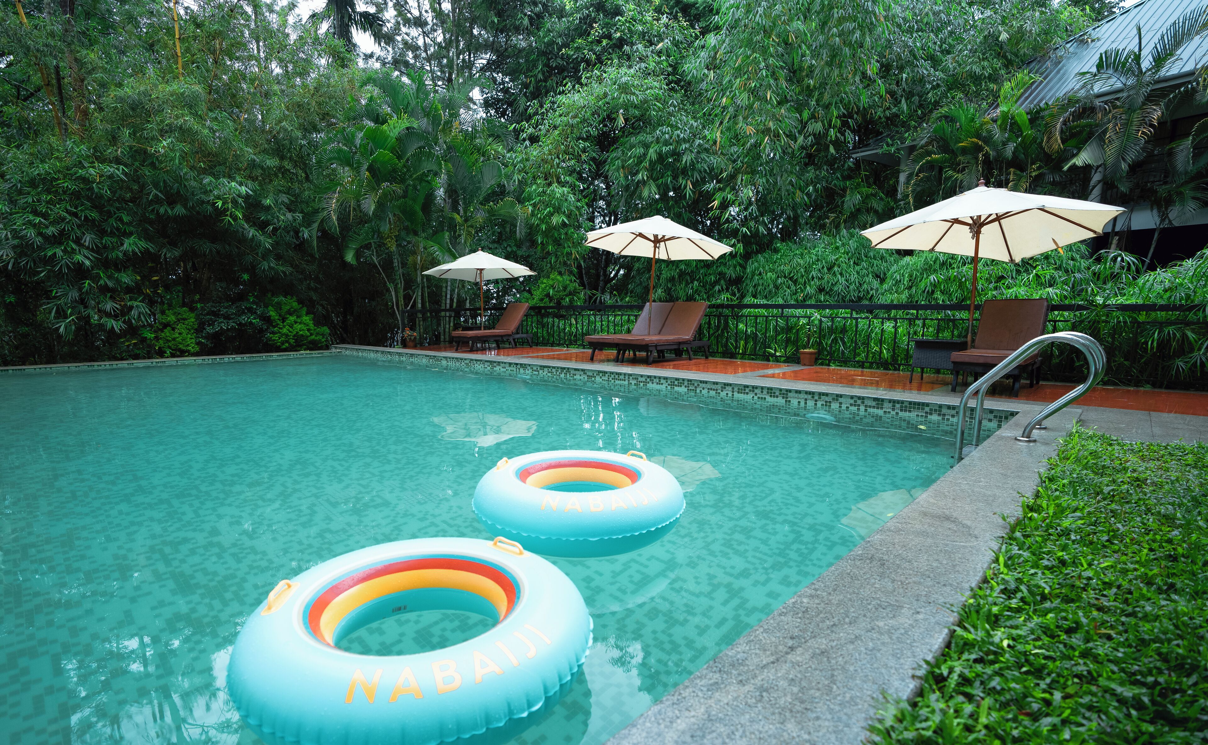 Una piscina con dos flotadores, rodeada de abundante vegetación y sillas de descanso con sombrillas.