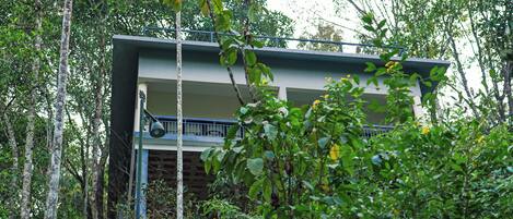 A two-story building with a balcony, surrounded by dense foliage.