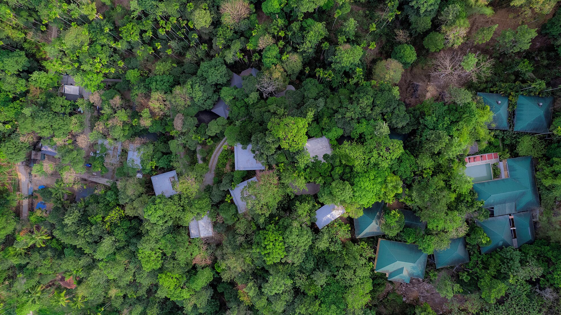 An aerial view of a forested area with several buildings, including houses and a small structure with a red roof, surrounded by dense green foliage.