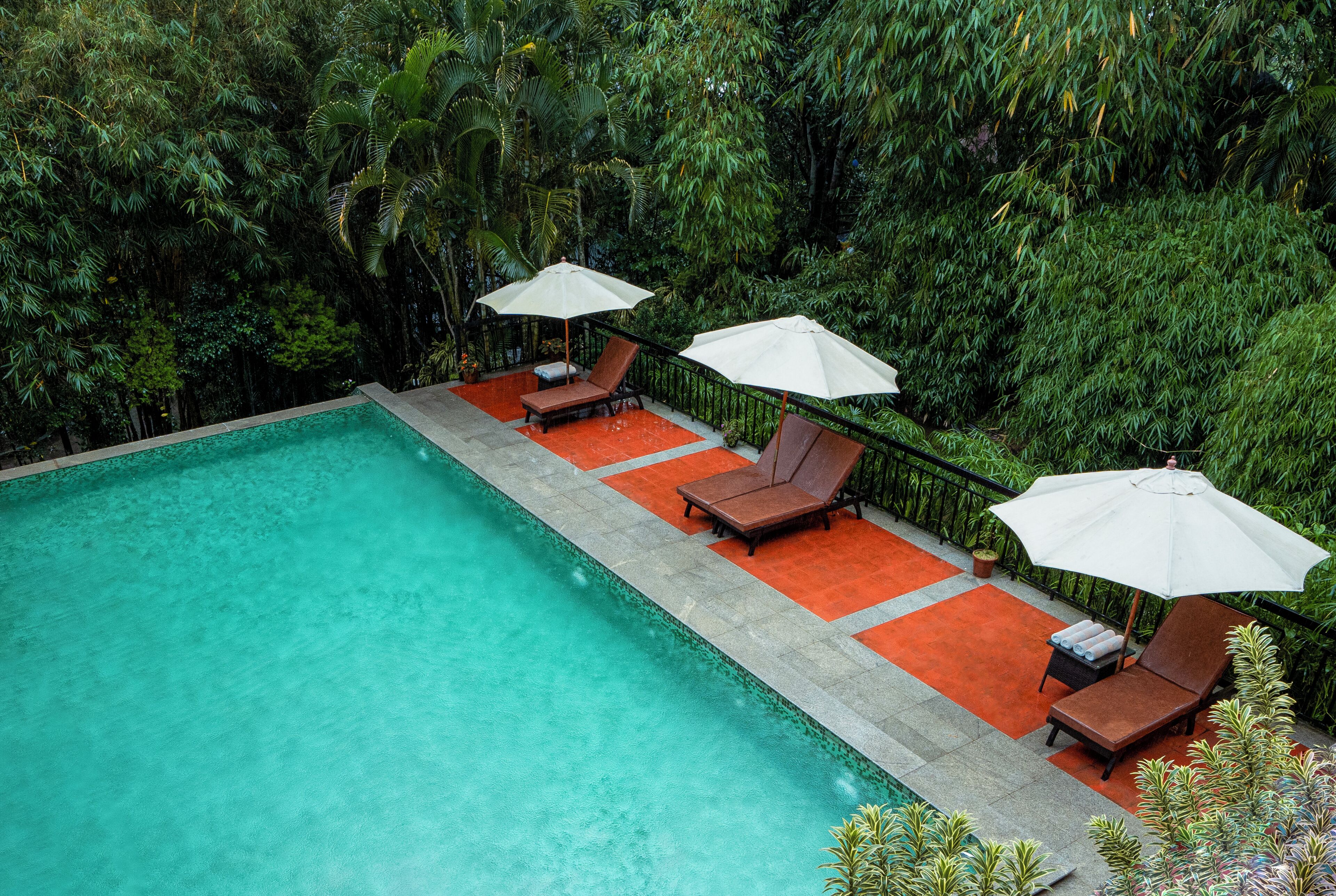 Une piscine agrémentée de deux chaises longues et de parasols, le tout entouré d’une végétation luxuriante.