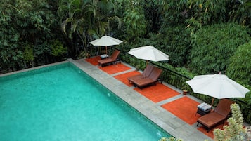 Una piscina con dos tumbonas y sombrillas, rodeada de exuberante vegetación.
