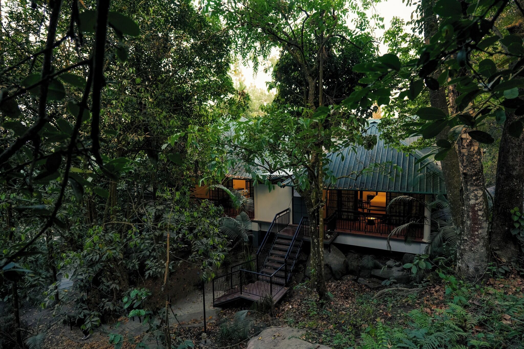 A secluded treehouse with a staircase leading up to a wooden deck, surrounded by dense foliage.