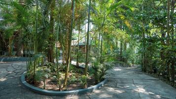 Ngoại thất