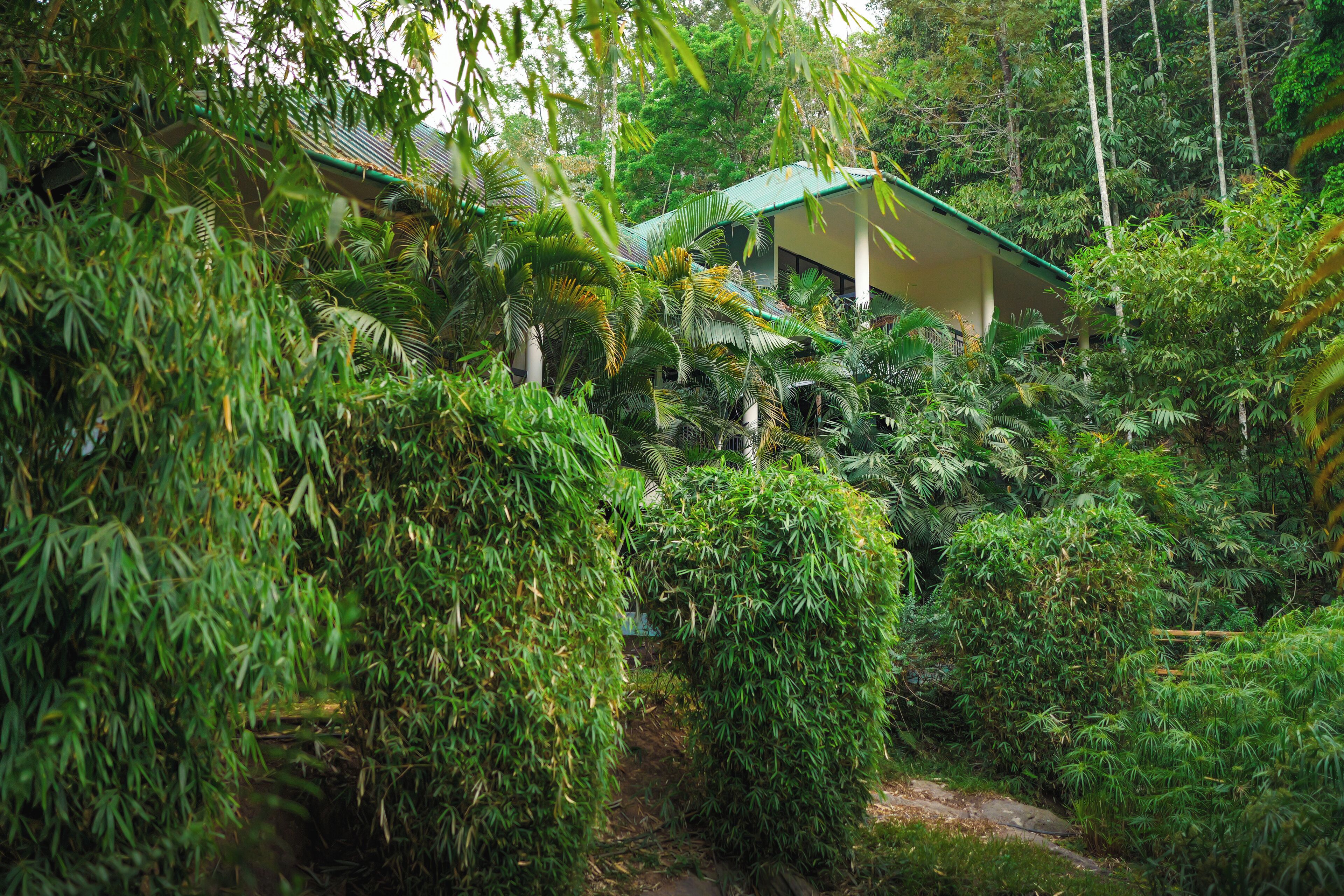 Un jardí verd i exuberant amb un edifici que té un teulat verd i parets blanques.