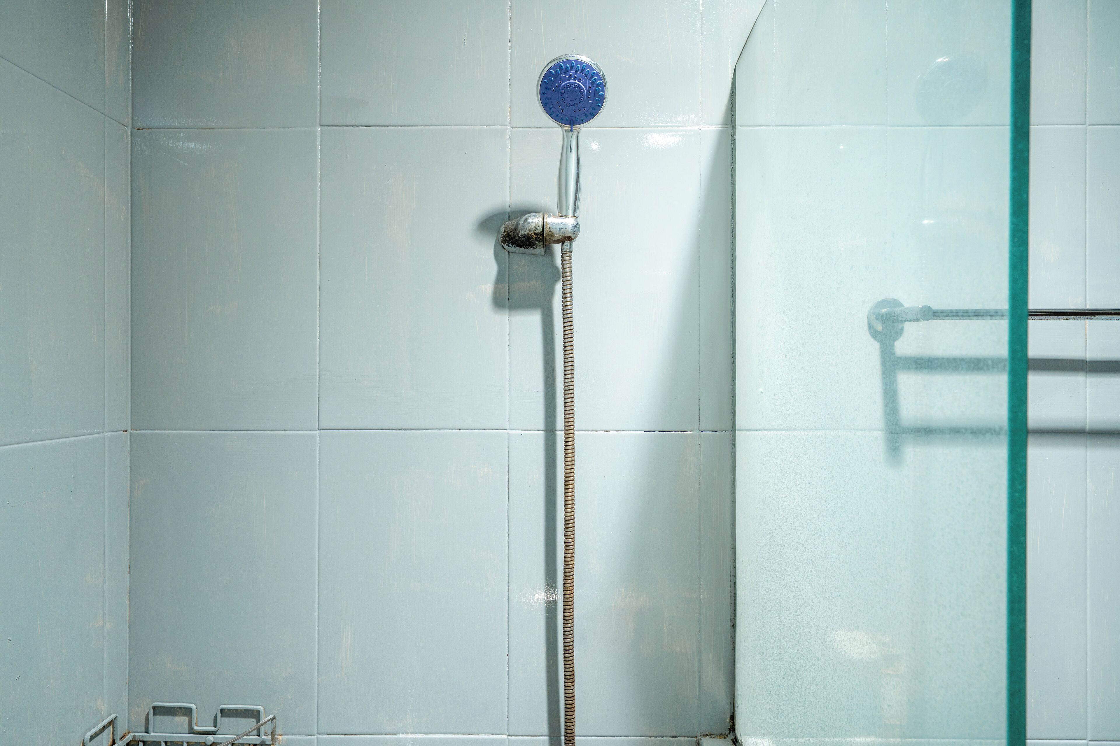 Eine Dusche mit Glastür und Duschkopf aus Metall.