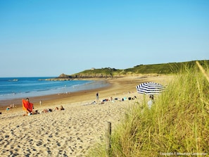 Uma praia arenosa com pessoas tomando sol e caminhando, uma área gramada com um guarda-sol listrado, e uma casa em uma colina ao fundo.