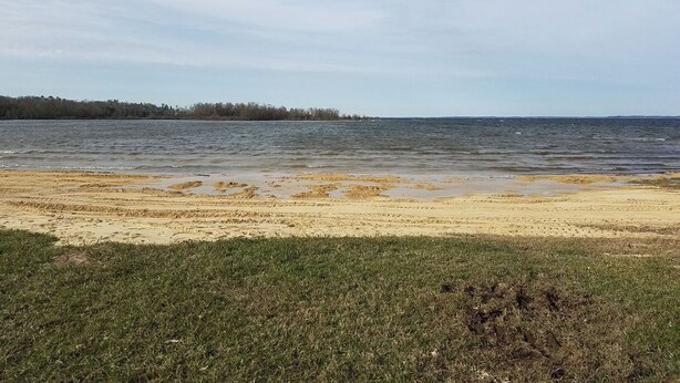 A beach with a grassy foreground and a forested shoreline in the background.