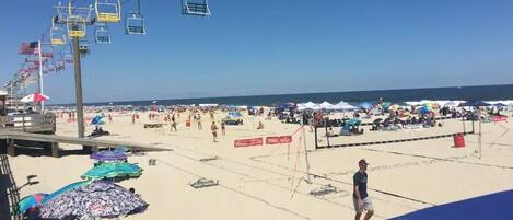 サンラウンジャー