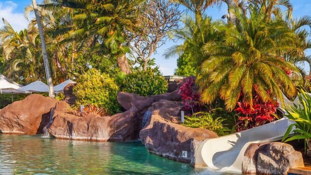 Une piscine avec un toboggan, entourée de plantes tropicales et de rochers.