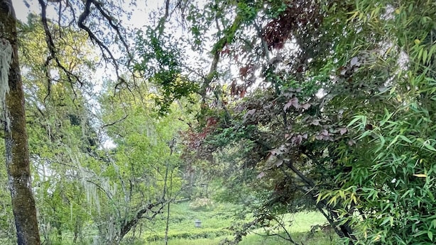 Dos sillas Adirondack de madera con cojines a rayas sobre una superficie de grava, con vista a un paisaje verde exuberante con árboles y una vista de un campo lejano.
