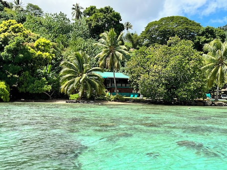 Enceinte de l’hébergement. Nature lover's paradise ~ Lovely home + car w/ private beach & great snorkeling!
