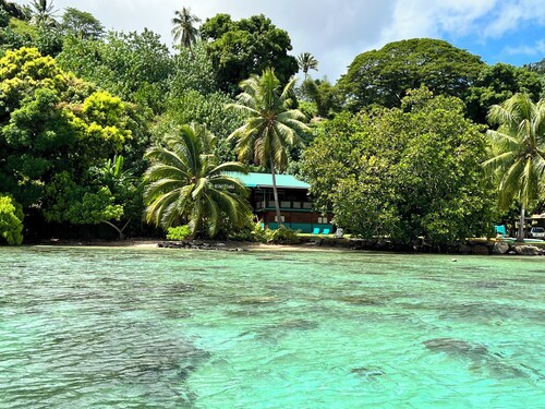 Nature lover's paradise ~ Lovely home + car w/ private beach & great snorkeling!