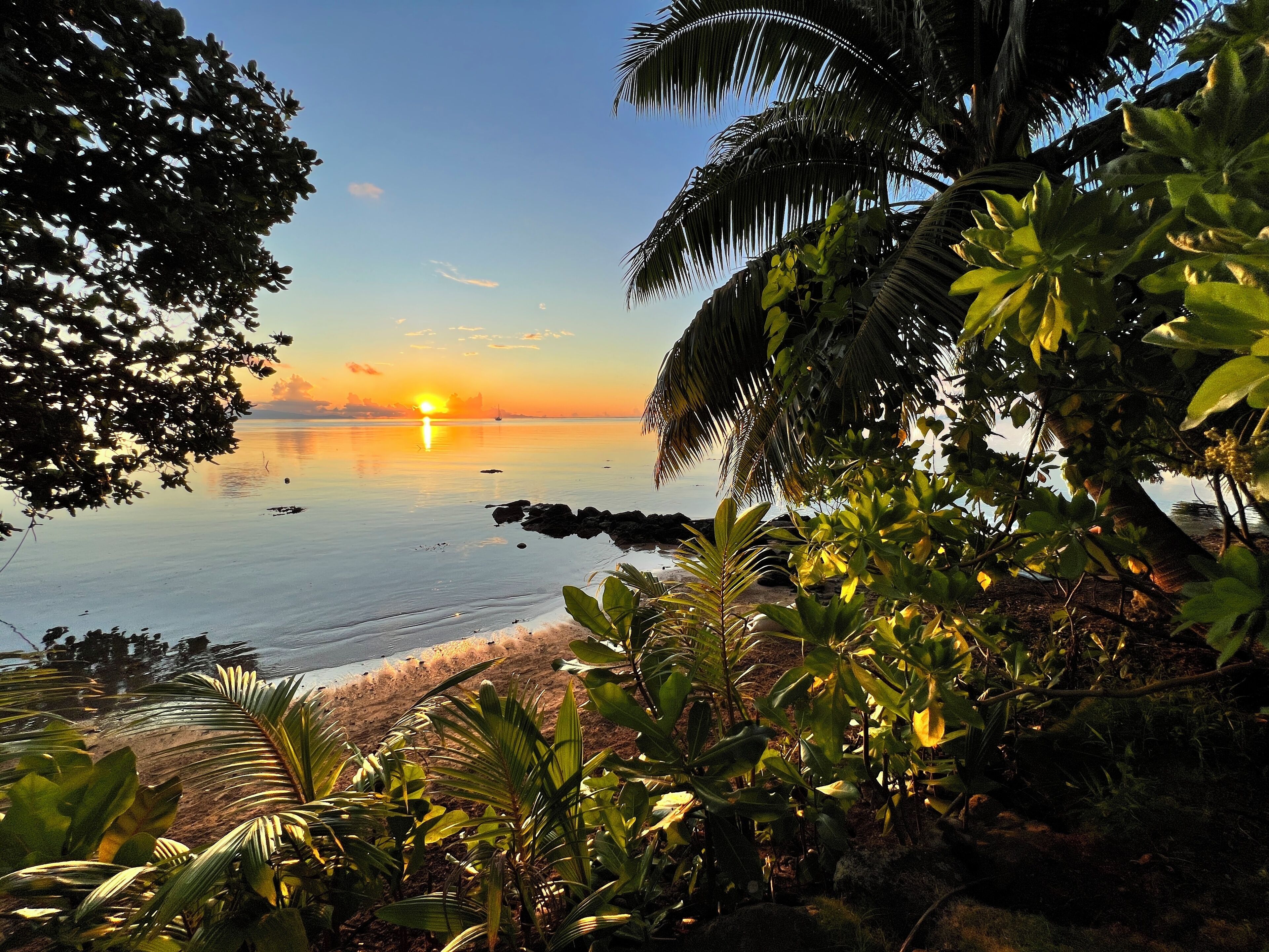 沙滩椅、沙滩毛巾