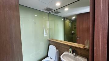 Shower, hair dryer, bidet, towels