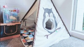 A play tent with an owl design, a storage bin, and a colorful rug. - 2 bedroom cosy guest house in North shore (Auckland)