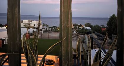 Casita by the Sea
Pool, Modern,  private rooftop, king beds
2 minute to beach!