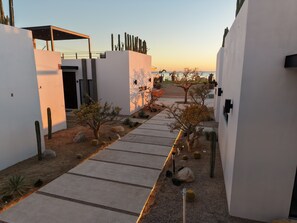 Property grounds - Modern, Clean & Airy Beach Retreat with Pool and Rooftop Ocean Views (La Ventana)