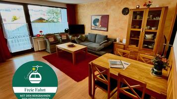 Télévision, cheminée, lecteur de DVD