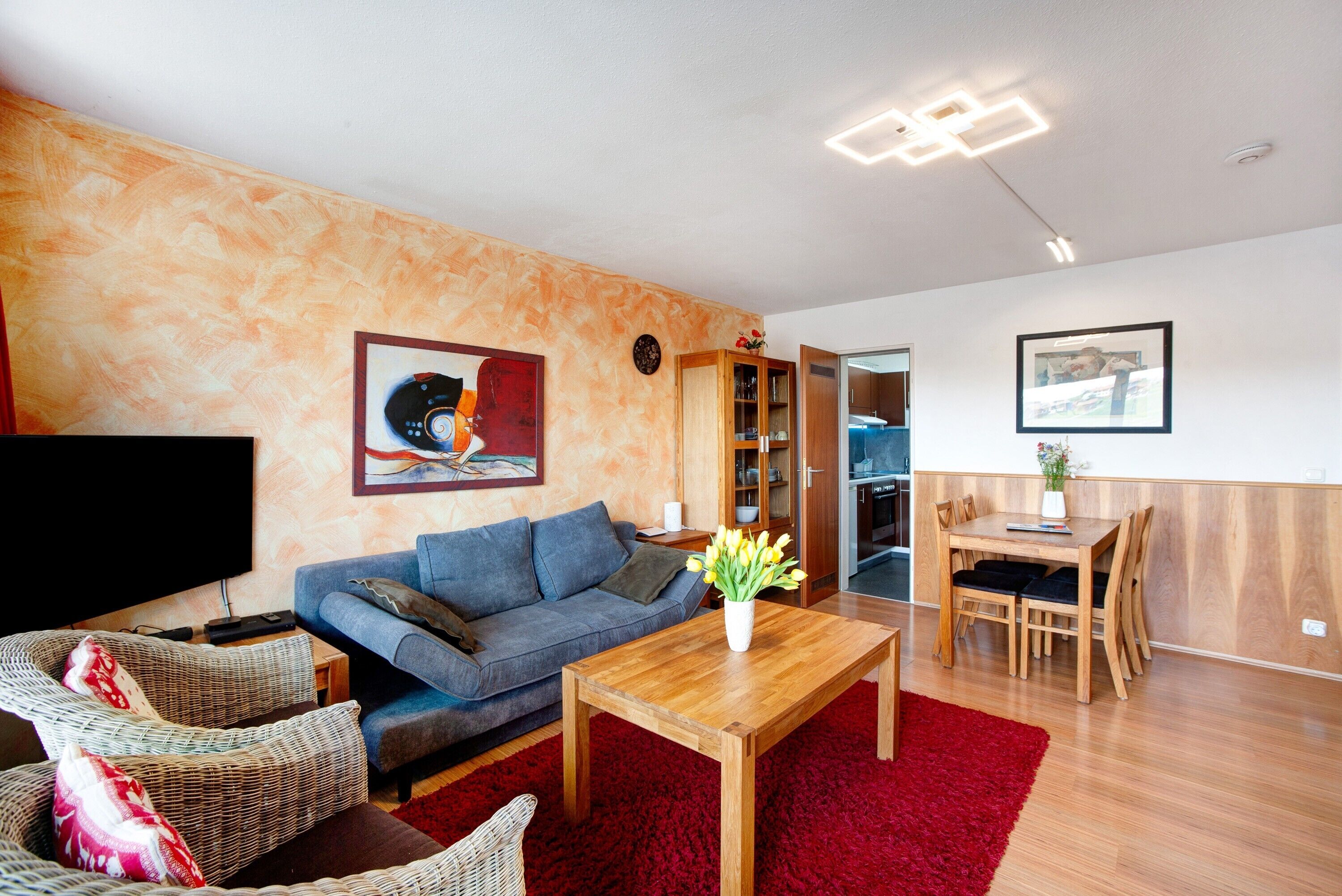 TV, fireplace, DVD player