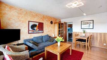 TV, fireplace, DVD player