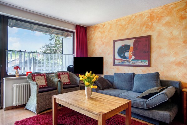 TV, lareira, DVD player