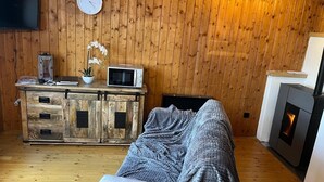 Habitació acollidora amb terra de fusta, un sofà, una televisió, un microones, una taula petita amb una planta i una llar de foc.