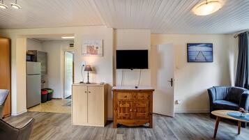 Fernseher, Stereoanlage